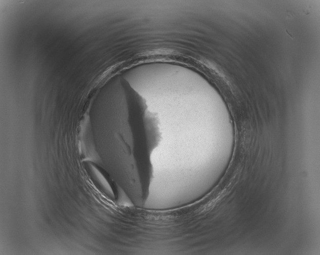 X0000082690921200702161720