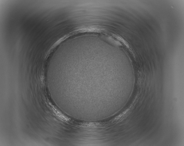 X0000082690922200702161720