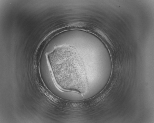 X0000082690923200702161720