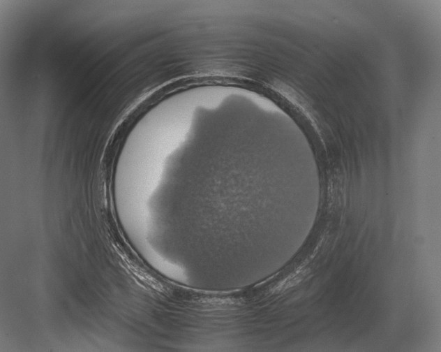 X0000082690925200702161720