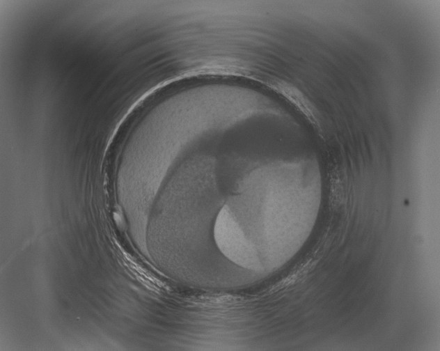 X0000082690926200702161720