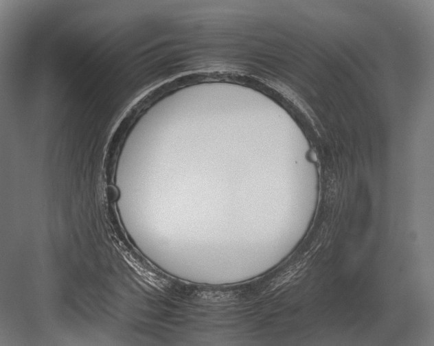 X0000082690927200702161720