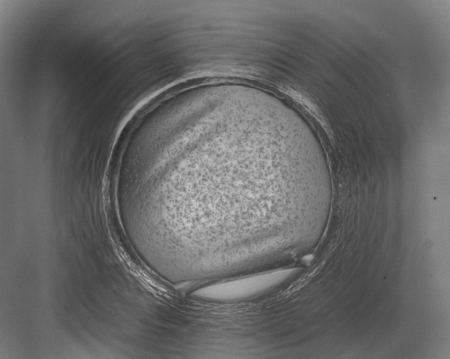 X0000082690928200702161720