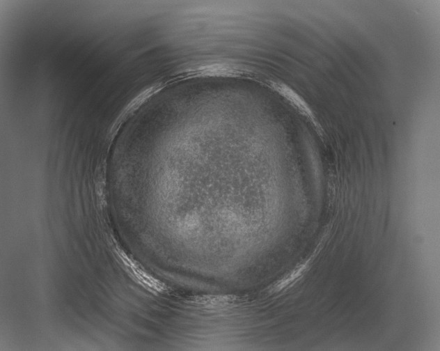 X0000082690930200702161720