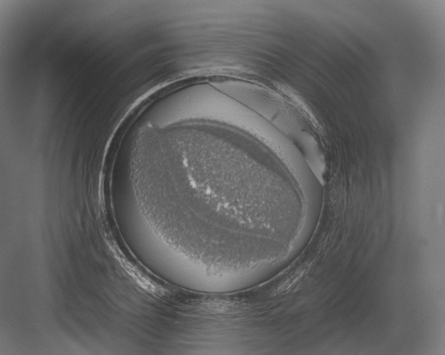 X0000082690932200702161720