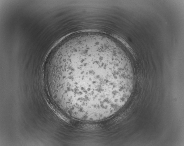 X0000082690933200702161720