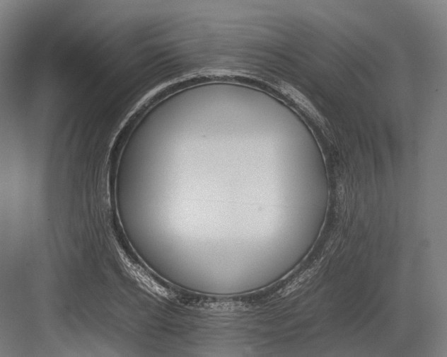 X0000082690934200702161720