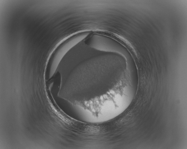 X0000082690935200702161720