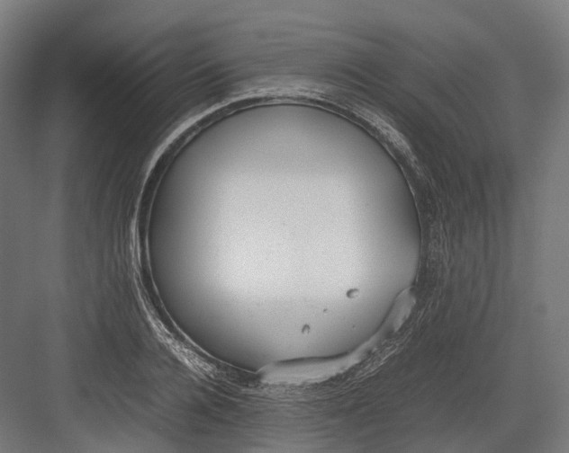 X0000082690936200702161720