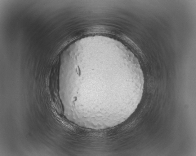 X0000082690937200702161720