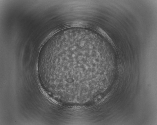 X0000082690938200702161720