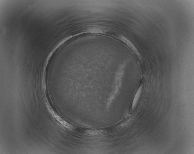 X0000082690939200702161720