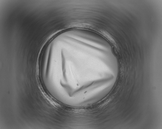 X0000082690940200702161720