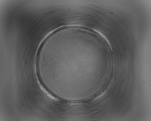 X0000082690941200702161720