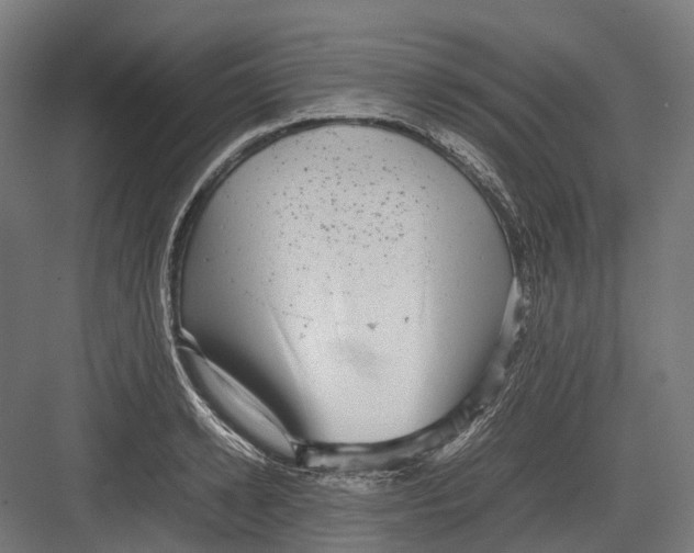 X0000082690942200702161720