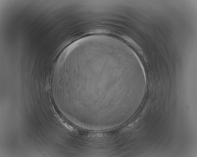 X0000082690945200702161720