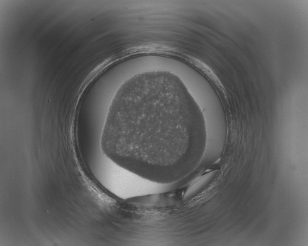 X0000082690946200702161720