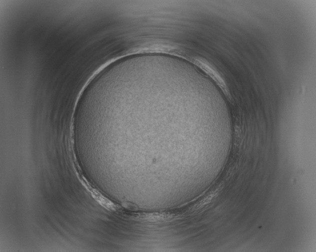 X0000082690948200702161720