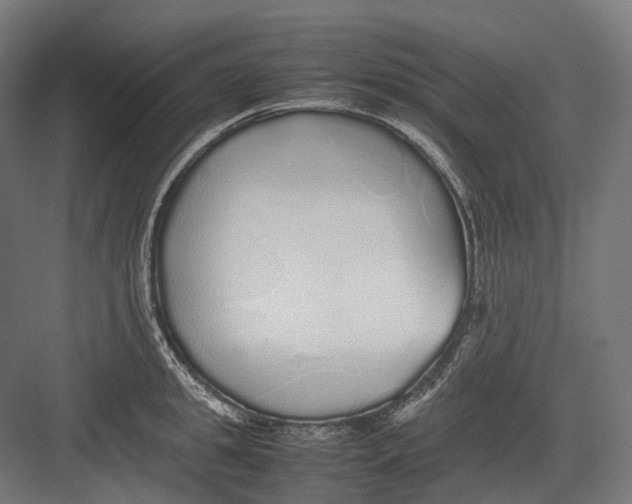 X0000082690949200702161720