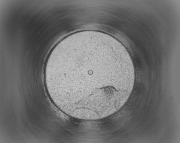 X0000082690950200702161720