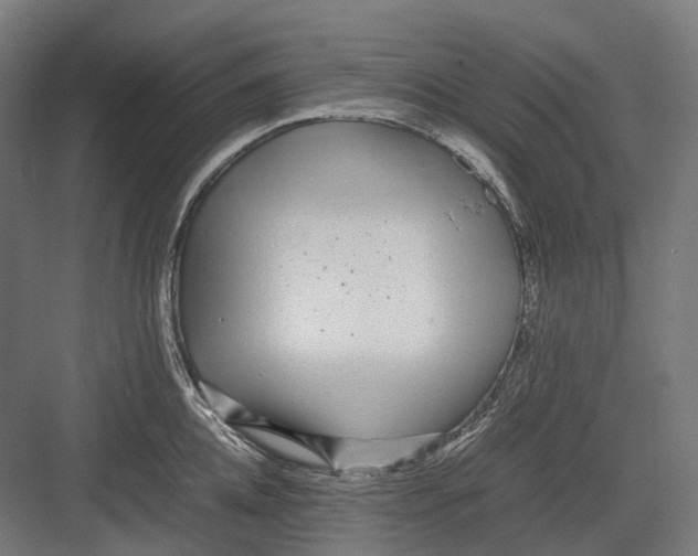 X0000082690952200702161720