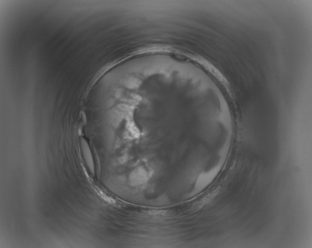 X0000082690953200702161720