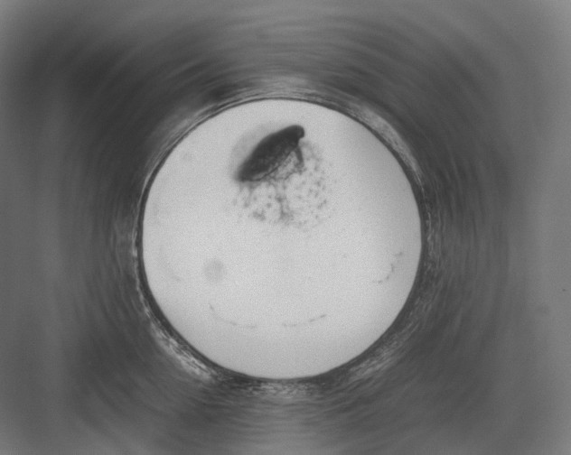 X0000082690954200702161720