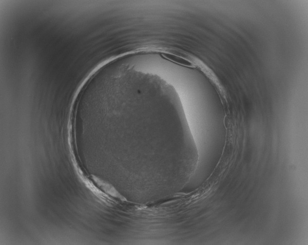 X0000082690955200702161721