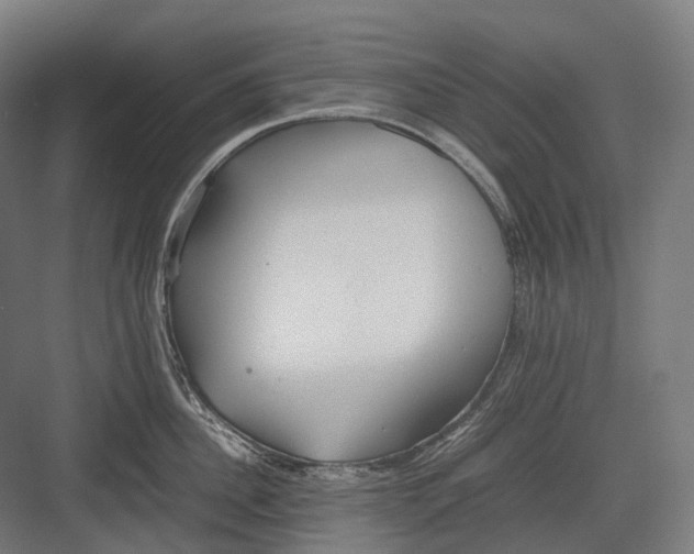 X0000082690956200702161721