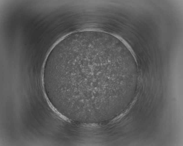 X0000082690957200702161721