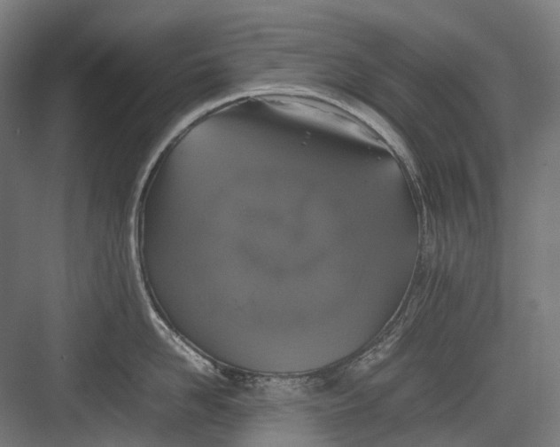 X0000082690958200702161721