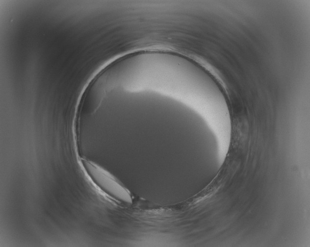 X0000082690959200702161721