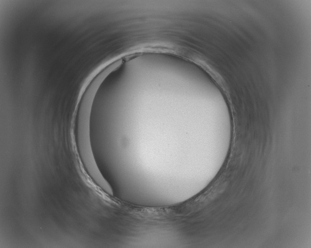 X0000082690960200702161721