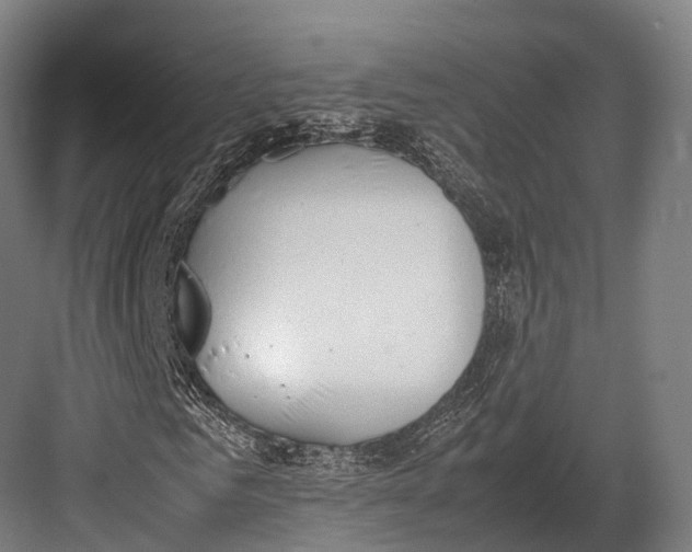 X0000082690961200702161720