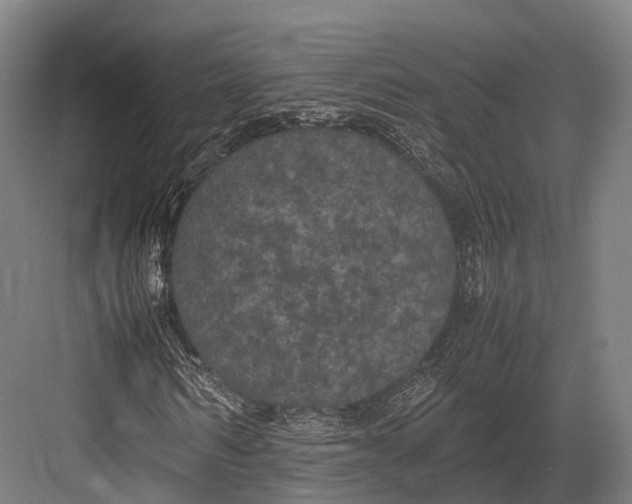 X0000082690962200702161720