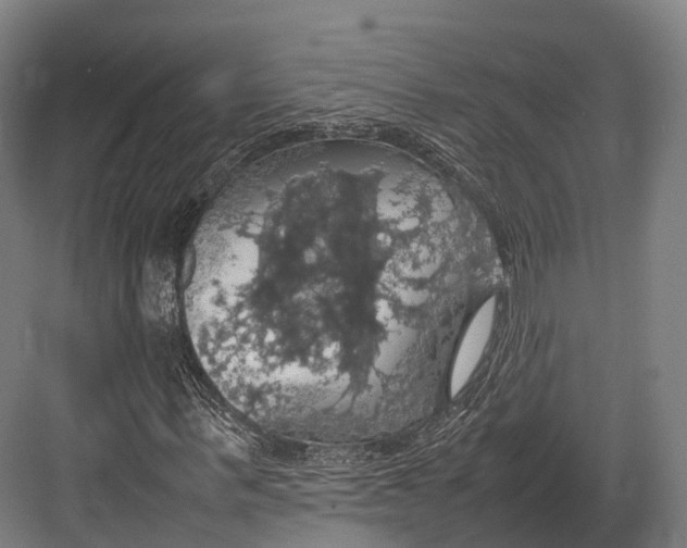 X0000082690963200702161720