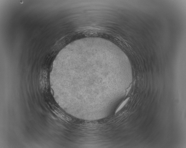 X0000082690964200702161720