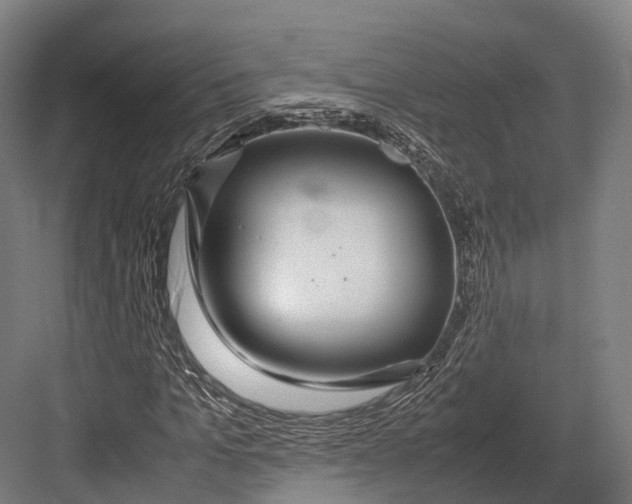 X0000082690965200702161720