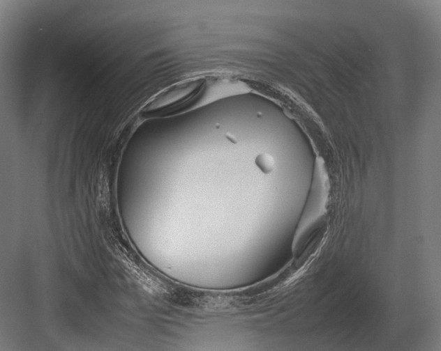 X0000082690969200702161720