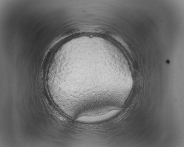 X0000082690971200702161720