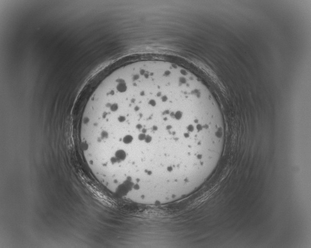 X0000082690974200702161720