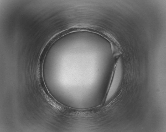 X0000082690976200702161720