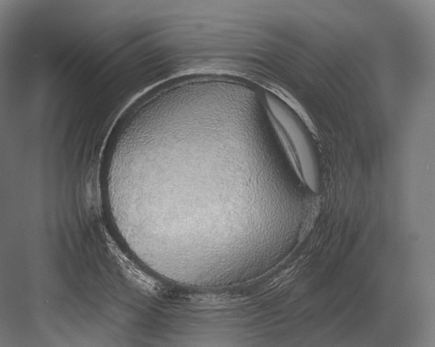 X0000082690980200702161719