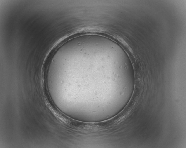 X0000082690981200702161719