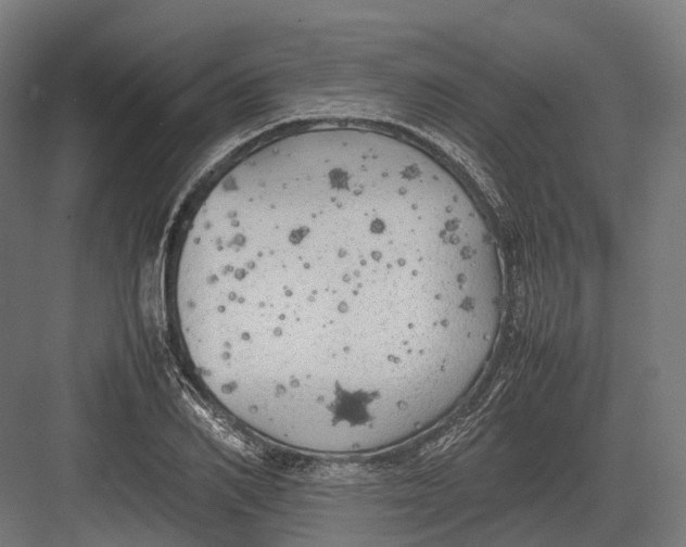 X0000082690982200702161719