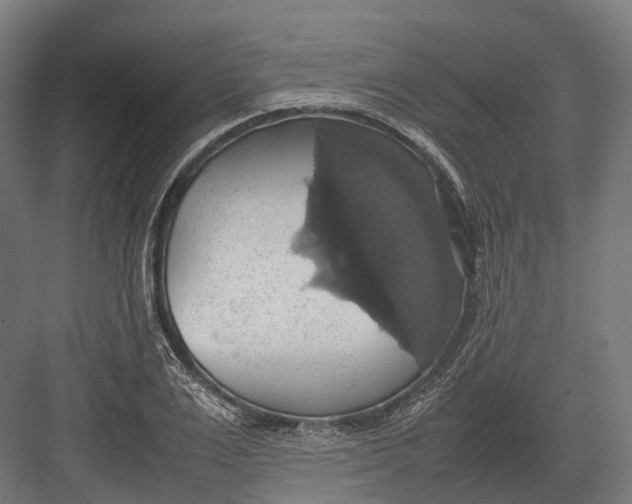 X0000082690983200702161719