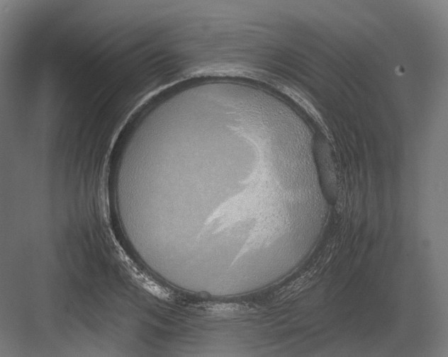 X0000082690984200702161719