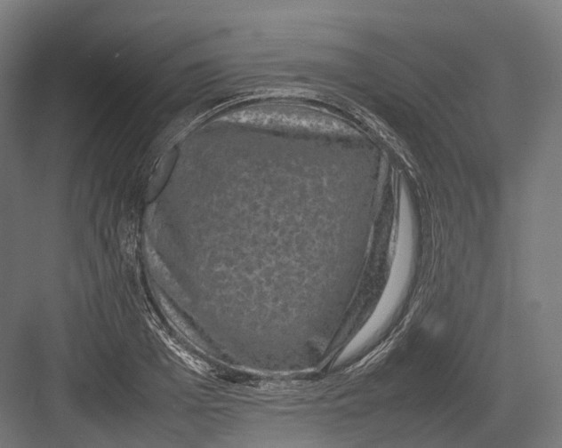 X0000082690985200702161719