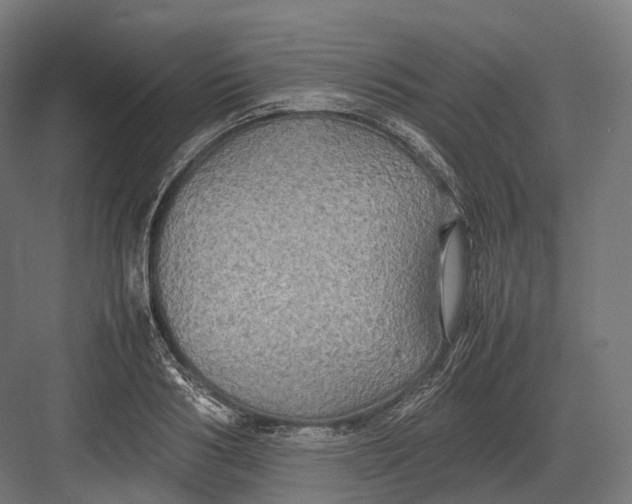 X0000082690986200702161719