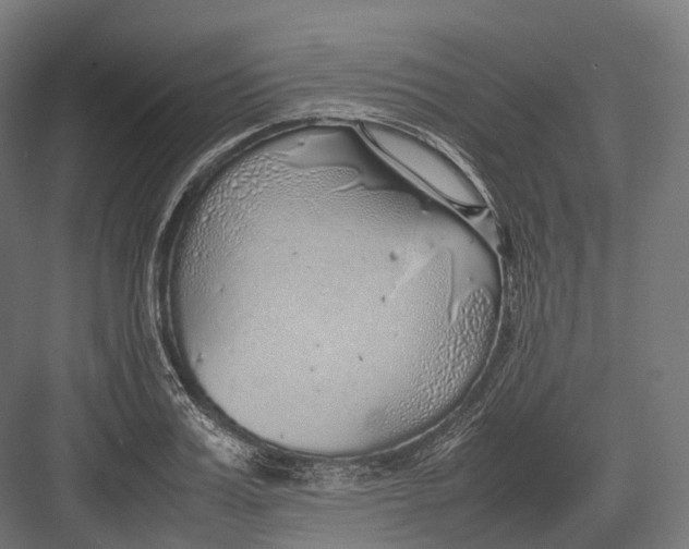 X0000082690987200702161719